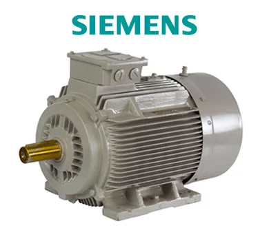 Siemens Motor - from Pune based Deale