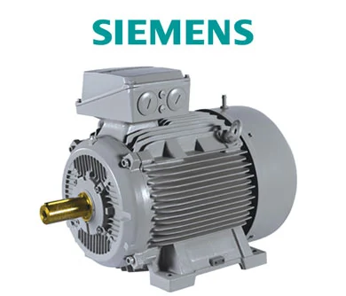 Siemens Motor - from Pune based Deale
