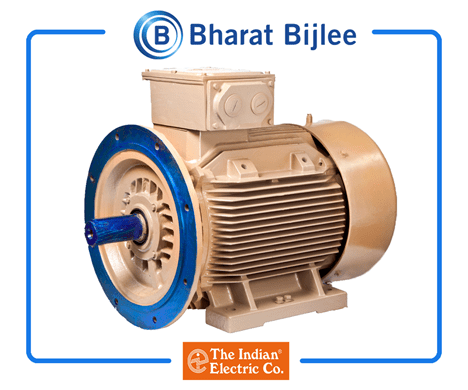 Bharatbijlee IE2 Motors