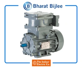 Bharatbijlee Flame Proof Motors