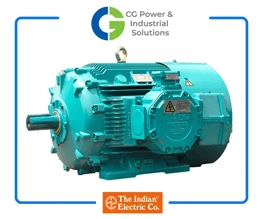 CG Flame Proof Motors